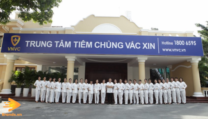 Công Ty Dược Phẩm Brands.vn (1)