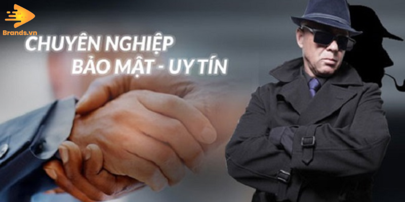 Công Ty Thám Tử Uy Tín Tại Hà Nội Brands.vn (2)