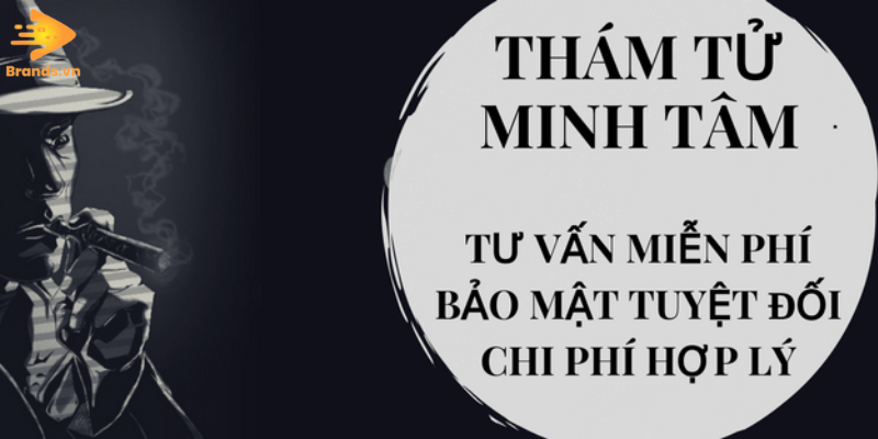 Công Ty Thám Tử Uy Tín Tại Hà Nội Brands.vn (4)