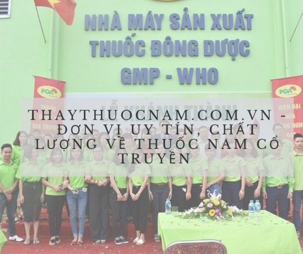 Thaythuocnam.com.vn Đơn Vị Uy Tín, Chất Lượng Về Thuốc Nam Cổ Truyền