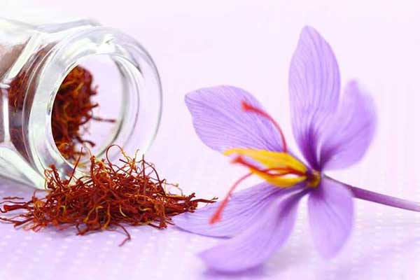 10 mat hang ban chay online nhuy hoa tay saffron