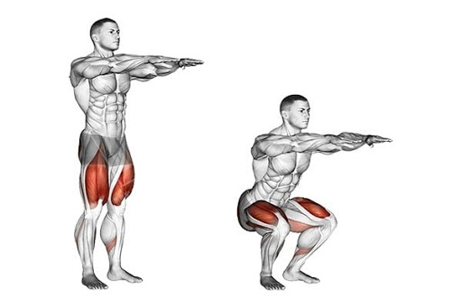 Bài tập chân to ra Bodyweight Squat