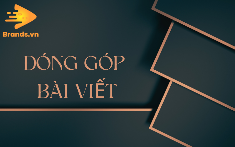 Dong Gop Bai Viet