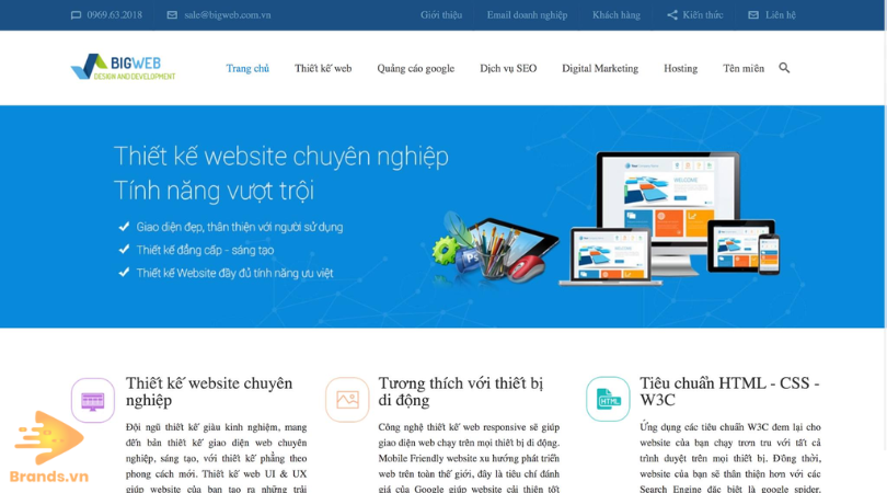 Công Ty Thiết Kế Website Tphcm Brands.vn (4)