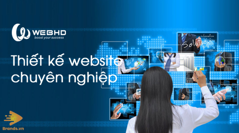 Công Ty Thiết Kế Website Tphcm Brands.vn (5)